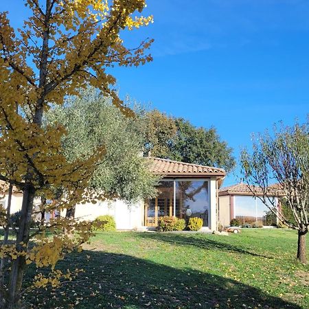 LE CLOS CASTEL -Chambre d'hôtes - Gîte équipé Casteljaloux Exterior foto